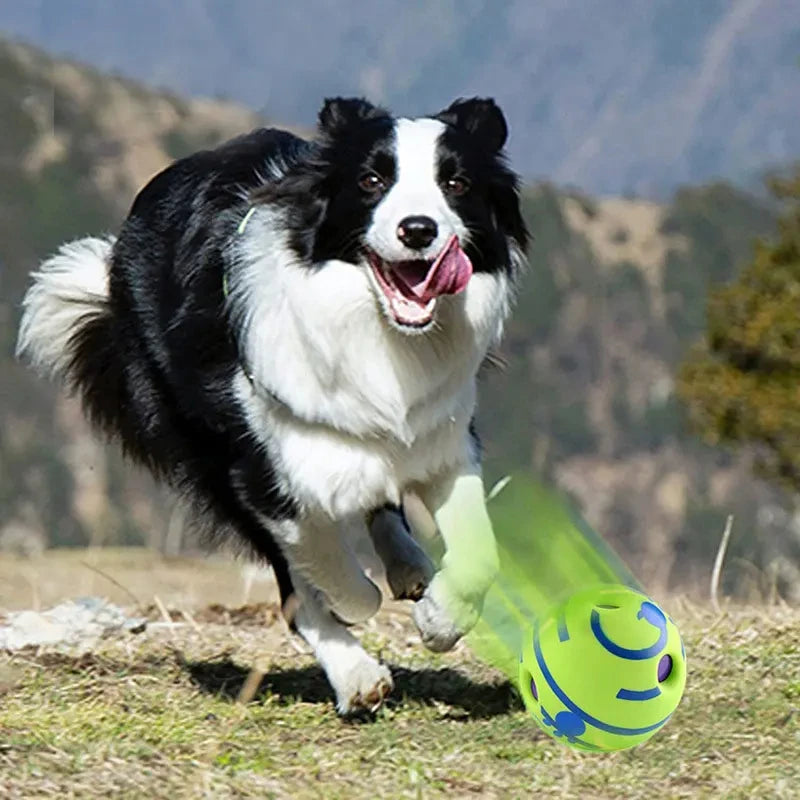 Wobble Wag Giggle Ball – Der interaktive Spielspaß für Hunde jeder Größe!