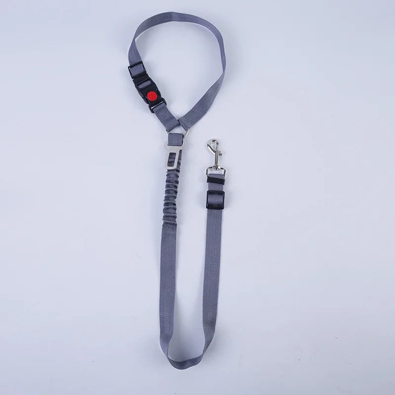2-in-1 Verstellbarer Auto-Sicherheitsgurt für Hunde & Katzen